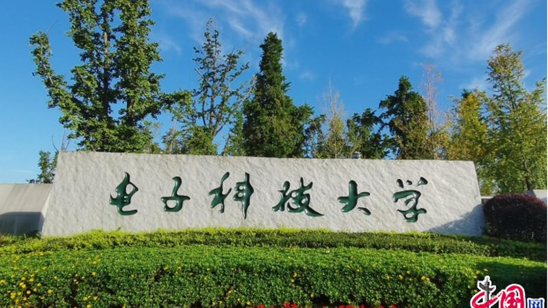 揭秘电子配件品牌排名背后的秘密