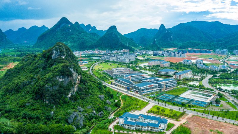 连接器端子价格之谜：揭秘其背后的成本构成**